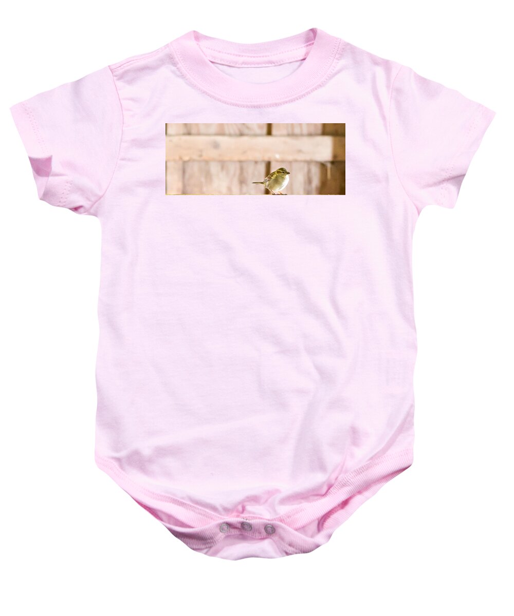 Yellow Bird Baby Onesie featuring the photograph Morning Bird by Courtney Webster