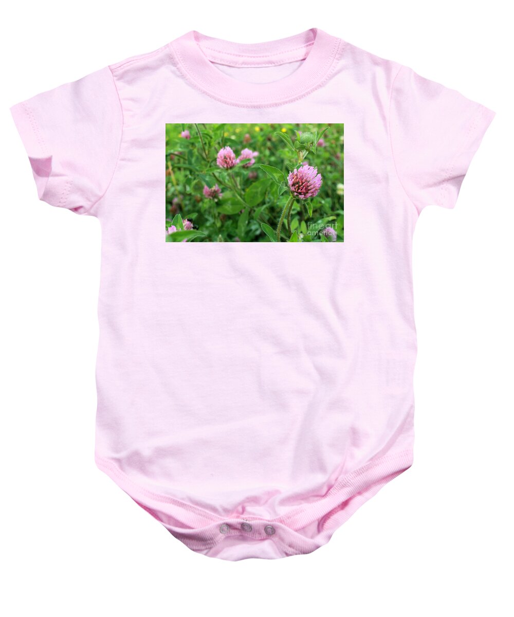 Trifolium Baby Onesie featuring the photograph Purple Clover Wild Flower in Midwest United States meadow by Adam Long