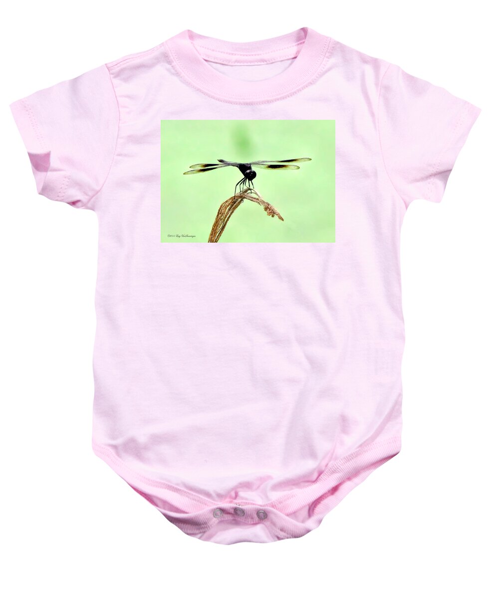 Dragonfly Photograph Baby Onesie featuring the photograph Ready for TakeOff by Lucy VanSwearingen
