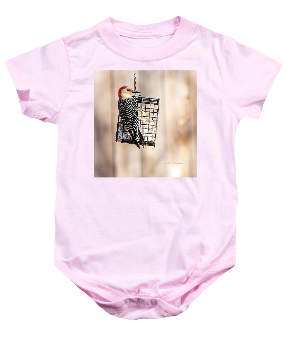 Winter Scene Baby Onesie featuring the photograph Reb-bellied Feeding by Ed Peterson