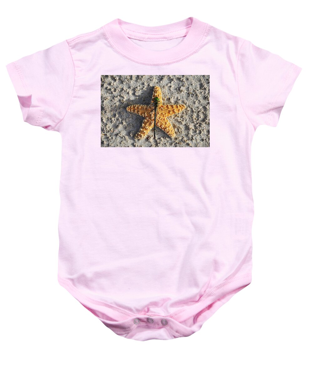 Dragonfly On Sea Star Baby Onesie featuring the photograph Resting Regal by Al Powell Photography USA