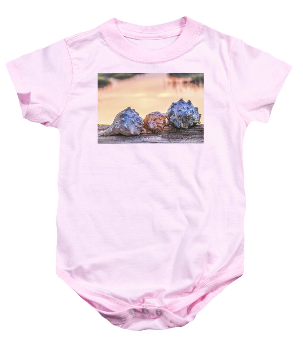 Shell Baby Onesie featuring the photograph Sea Shells Image Art by Jo Ann Tomaselli