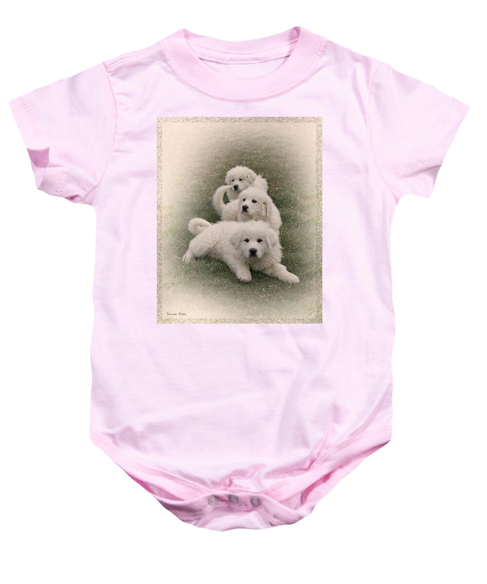 Dogs Baby Onesie featuring the photograph The Three by Bonnie Willis