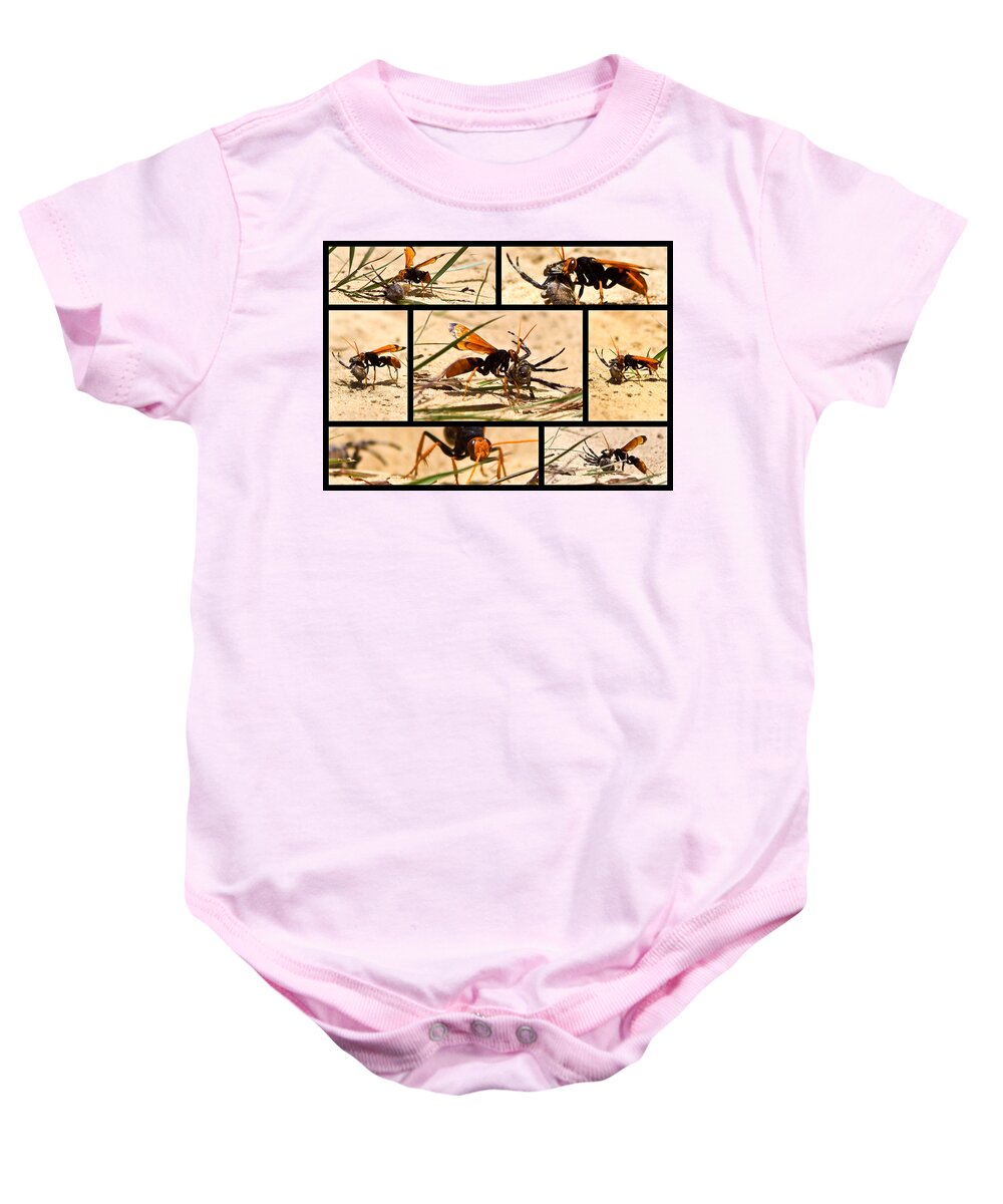 Wasp Baby Onesie featuring the photograph Wasp and his kill by Miroslava Jurcik