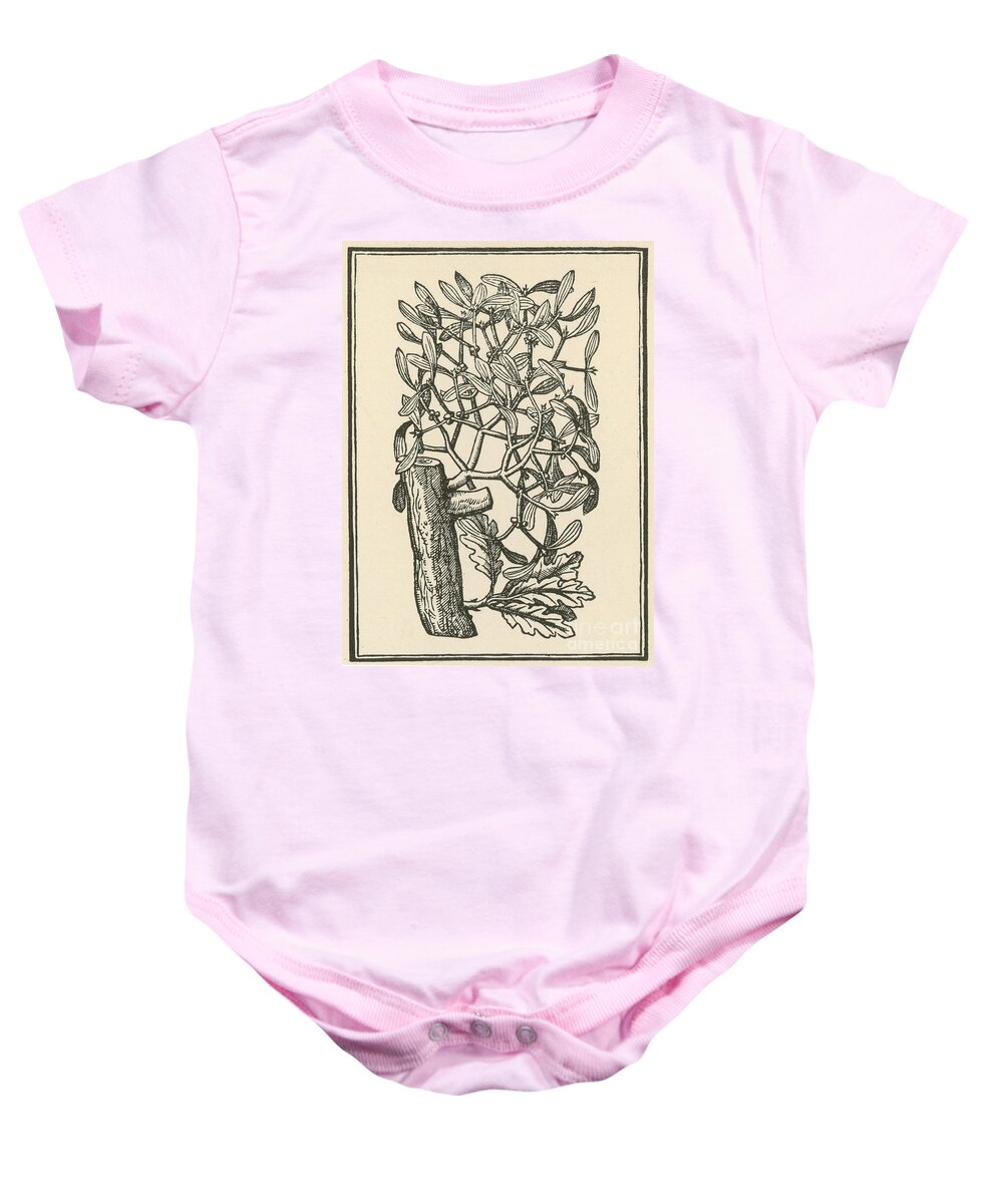 Plant Baby Onesie featuring the photograph Mistletoe-Alchemy Plant #4 by Science Source