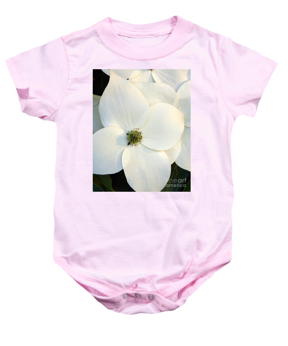 Nature Baby Onesie featuring the photograph Dogwood 1 by Priscilla Richardson