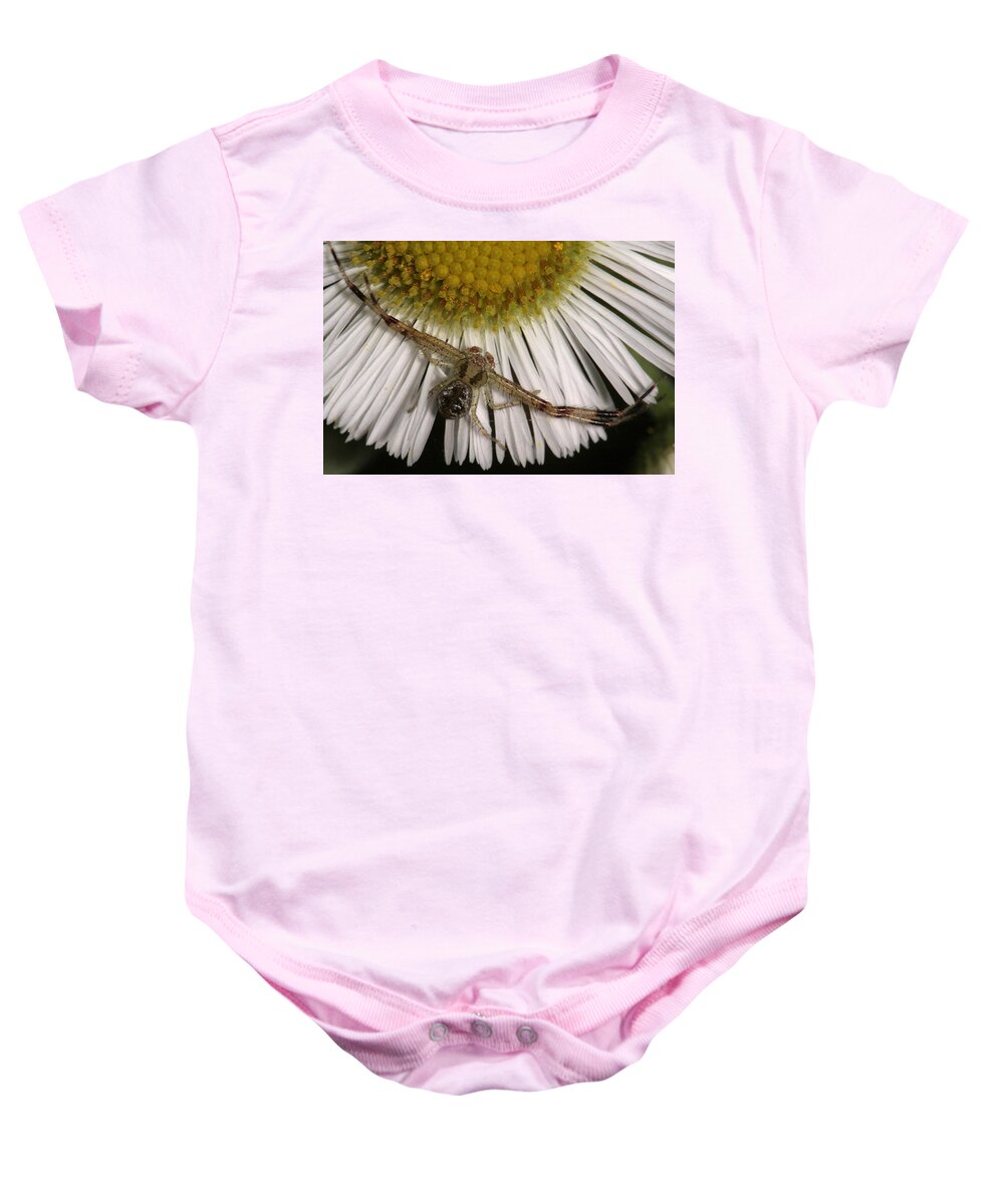 Nature Baby Onesie featuring the photograph Flower Spider On Fleabane by Daniel Reed