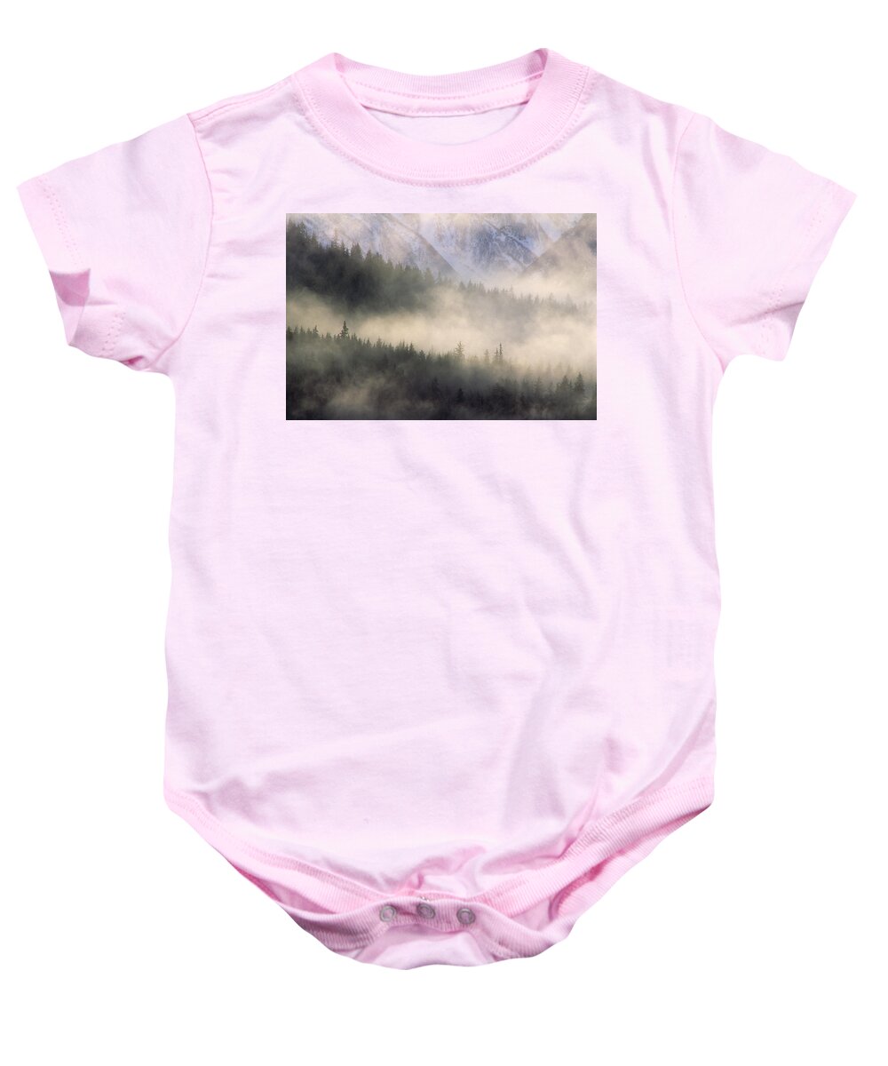 Mp Baby Onesie featuring the photograph Fog In Old Growth Forest, Chilkat River by Gerry Ellis