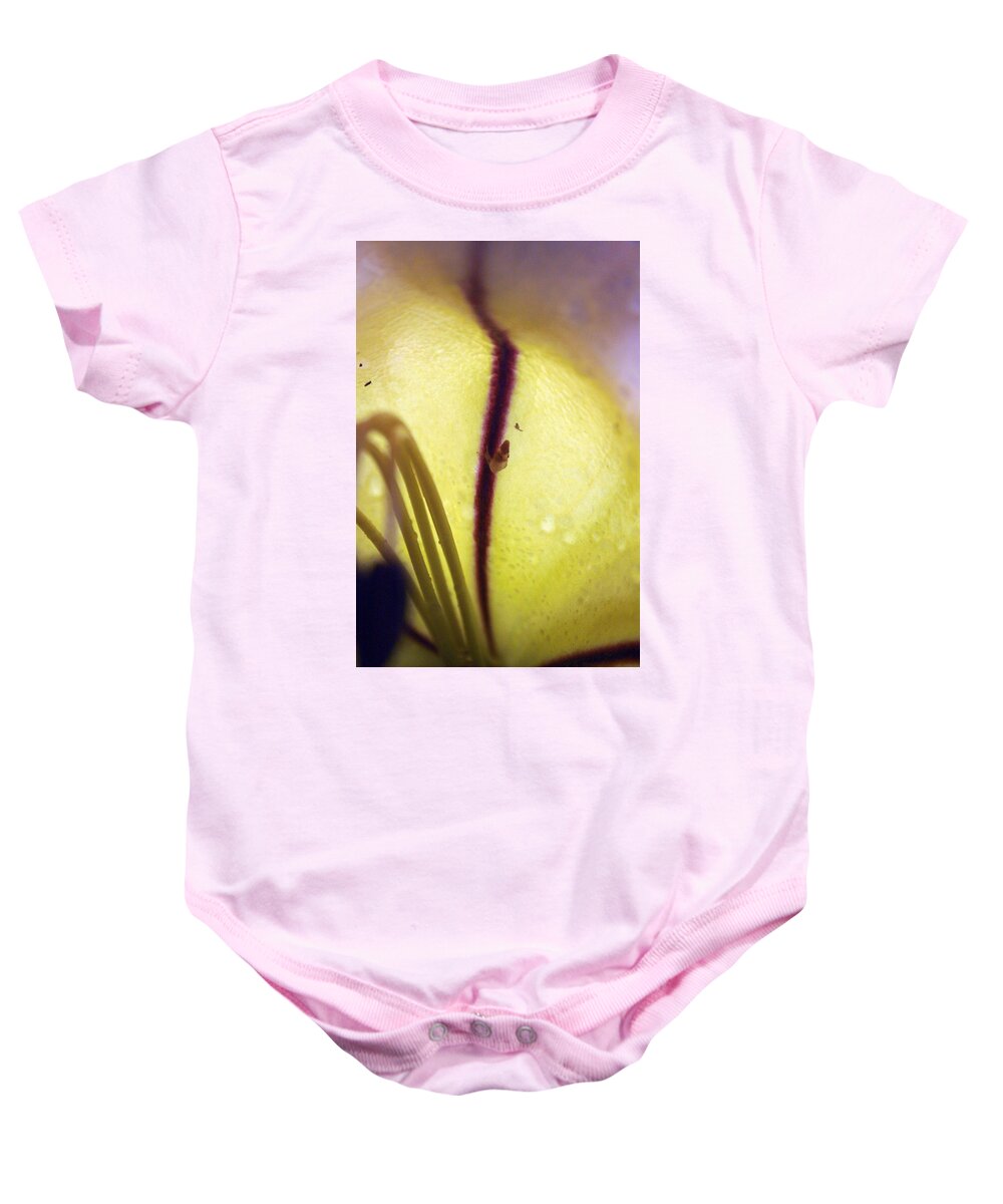 Golden Cup Flower Baby Onesie featuring the photograph Golden Cup Flowe Study 2 by Jennifer Bright Burr