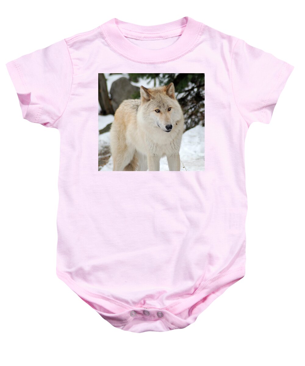 Wolf Baby Onesie featuring the photograph Happy Wolf by Richard Bryce and Family