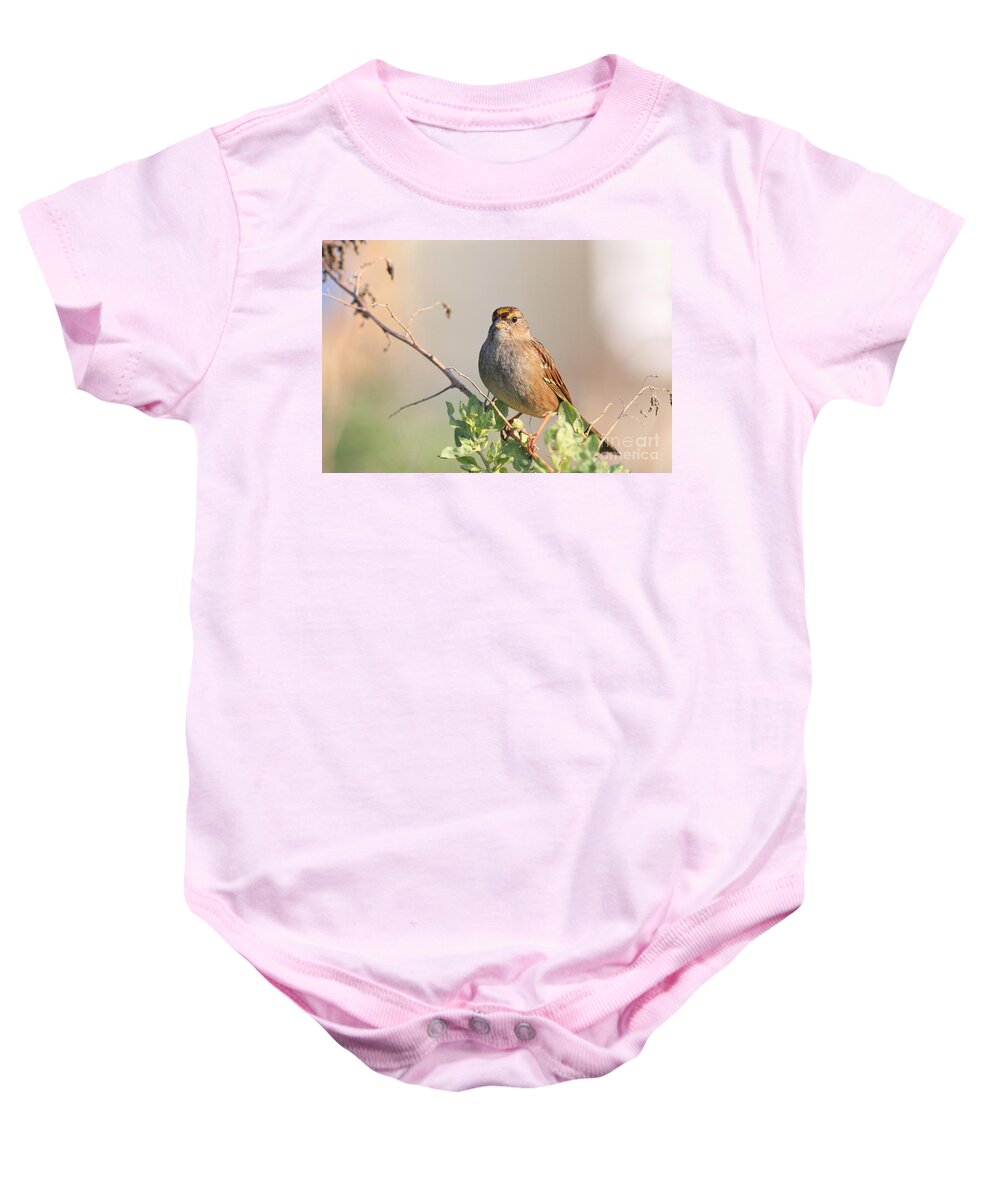 Animal Baby Onesie featuring the photograph Sparrow Bird Perched . 40D12304 by Wingsdomain Art and Photography