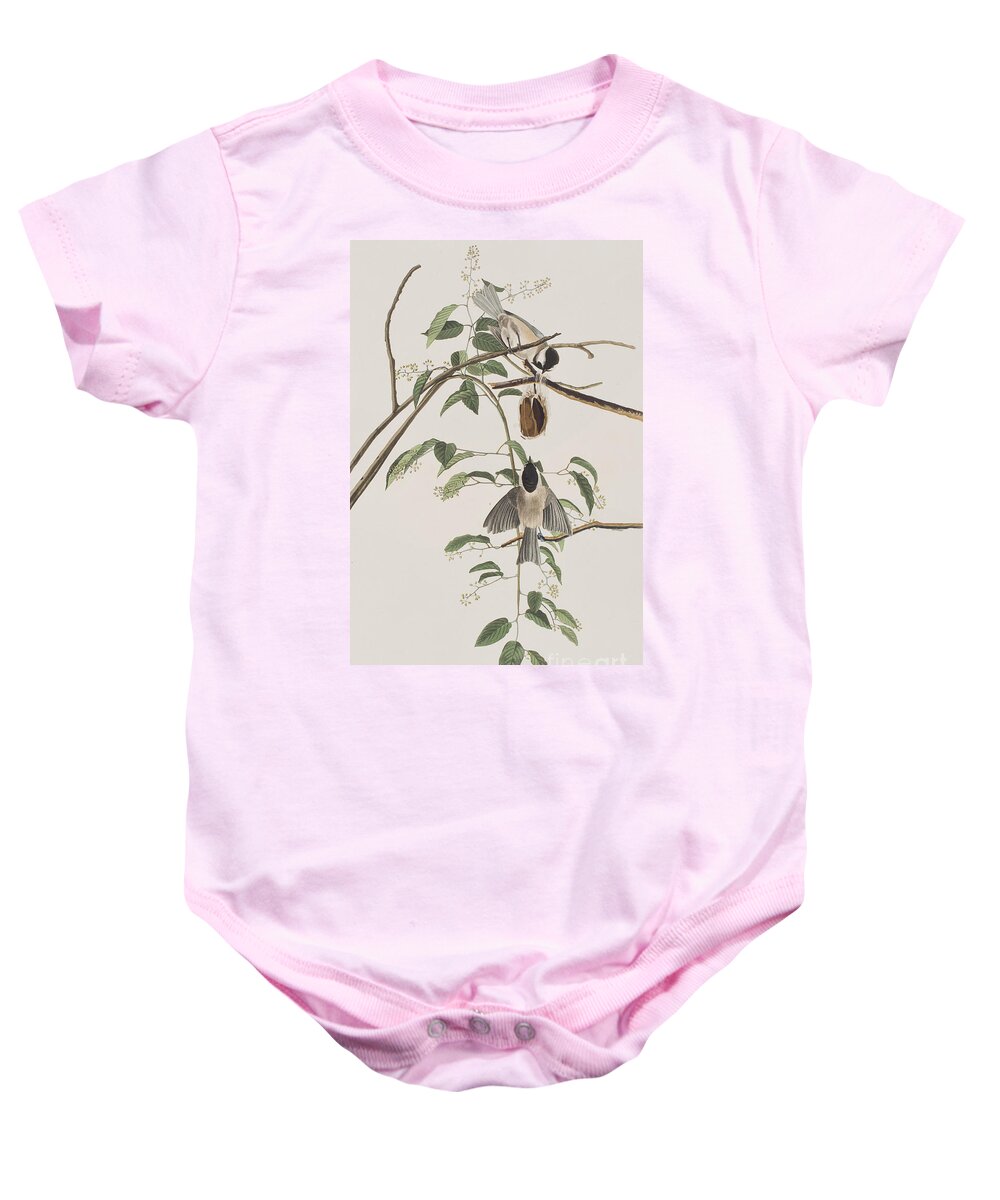 Titmouse Baby Onesie featuring the painting Black Capped Titmouse by John James Audubon