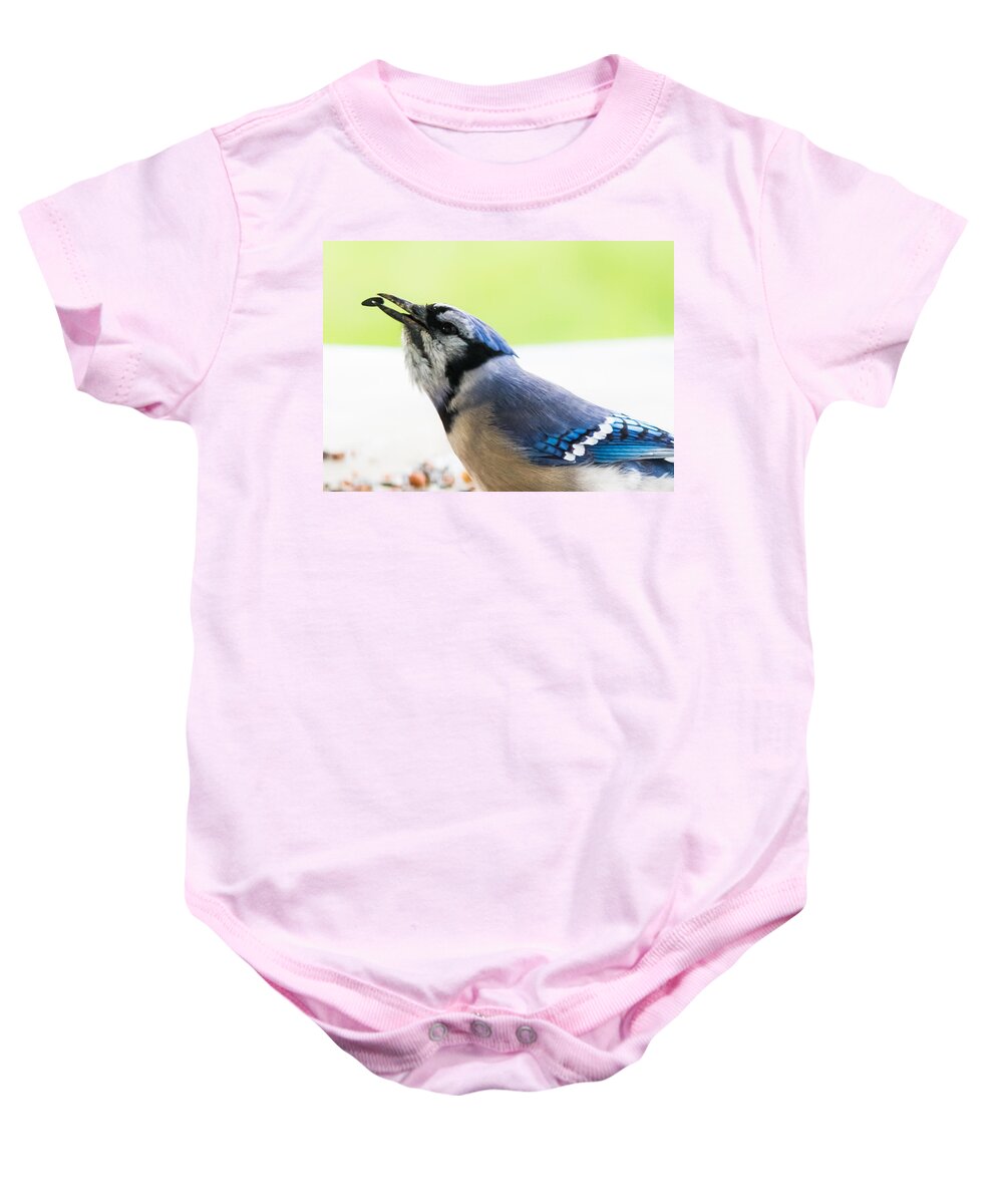 Blue Jay Baby Onesie featuring the photograph Blue Jay  #1 by Holden The Moment
