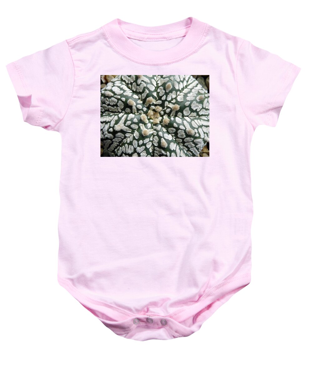 Cactus Baby Onesie featuring the photograph Cactus 1 #1 by Selena Boron