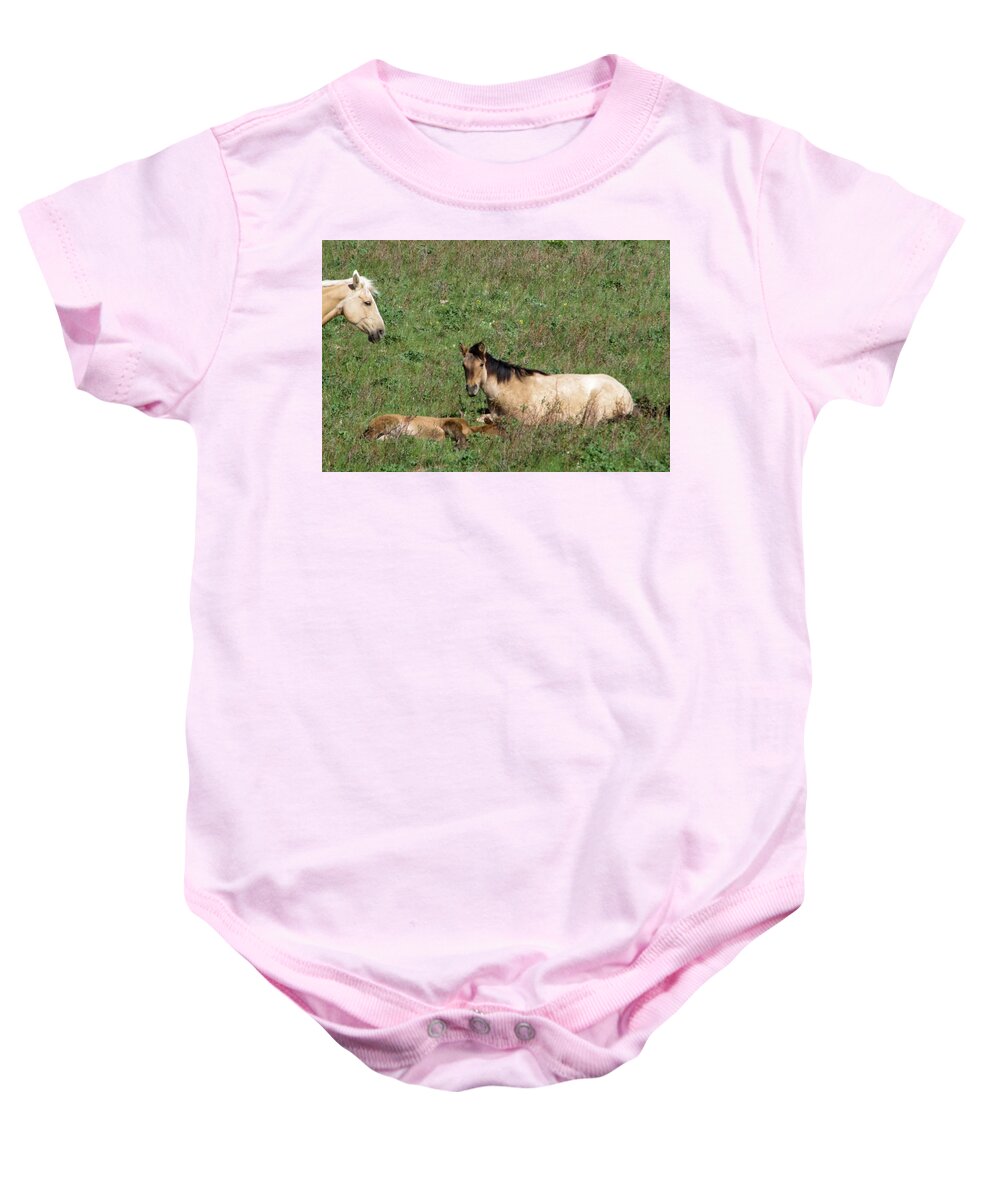 Horse Baby Onesie featuring the photograph Mare and colt #1 by Jeff Swan