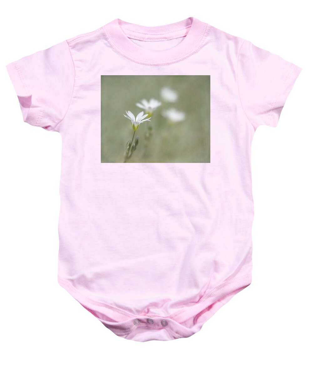 Dainty Baby Onesie featuring the photograph Snow In Summer #1 by Jennifer Grossnickle