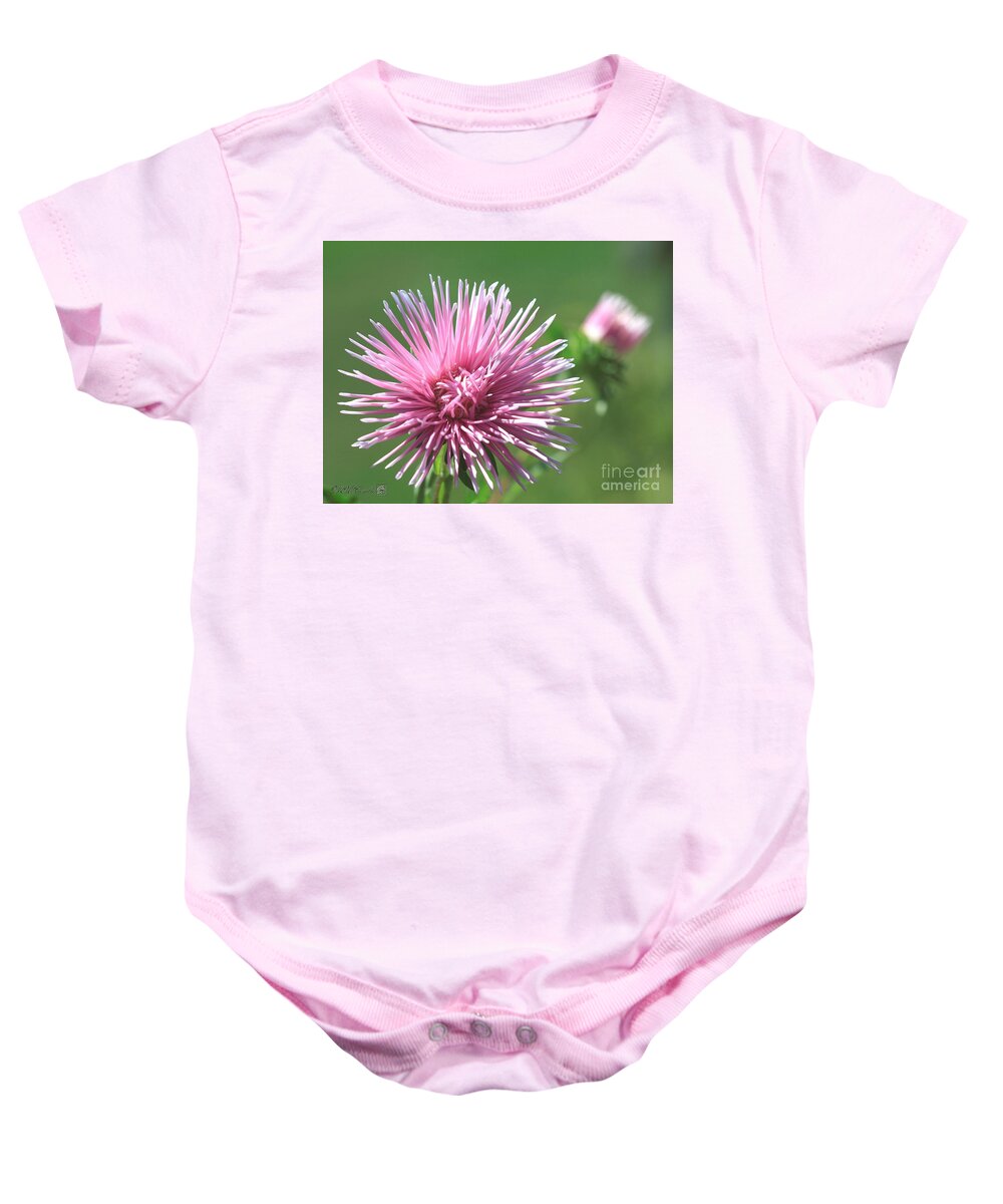 Mccombie Baby Onesie featuring the photograph Aster named Unicum Rose #3 by J McCombie