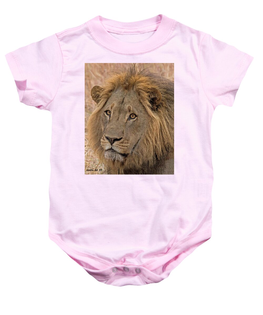 Lion Baby Onesie featuring the digital art African Lion by Larry Linton
