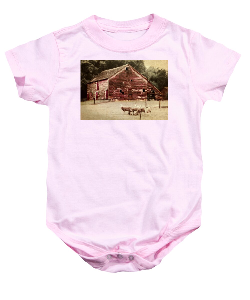 Barn Baby Onesie featuring the photograph A Grazy Day by Julie Hamilton