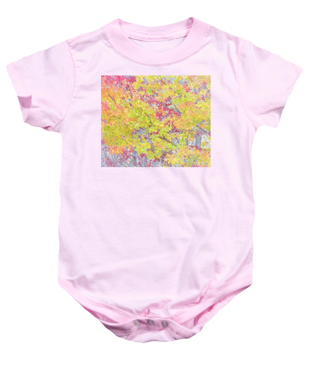 Usa Baby Onesie featuring the photograph A splash of color by Usha Peddamatham