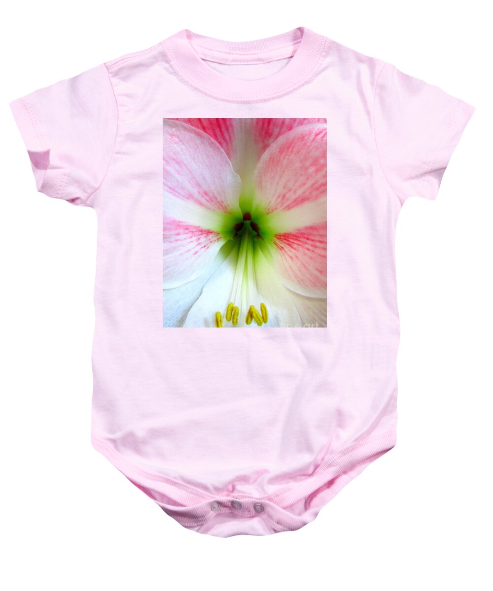 Amaryllis Baby Onesie featuring the photograph Amaryllis 1 by Randall Weidner