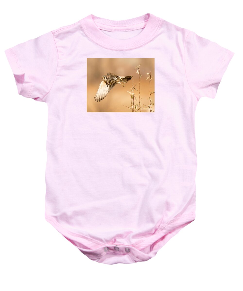 Bird Baby Onesie featuring the photograph American Kestrel Hunting by Dennis Hammer