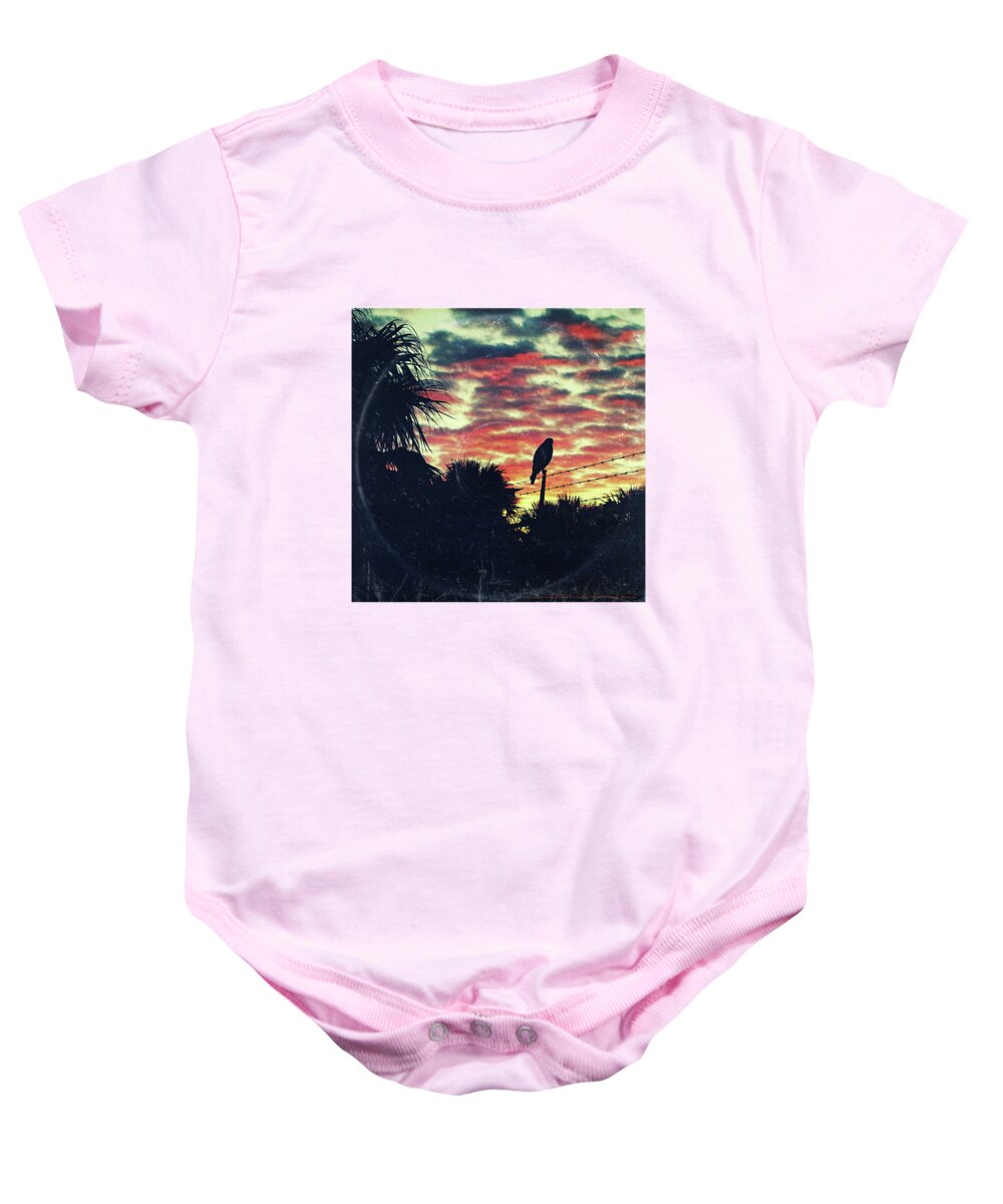 Paradise Baby Onesie featuring the painting Barbed Wire Paradise - America As Vintage Album Art by Little Bunny Sunshine