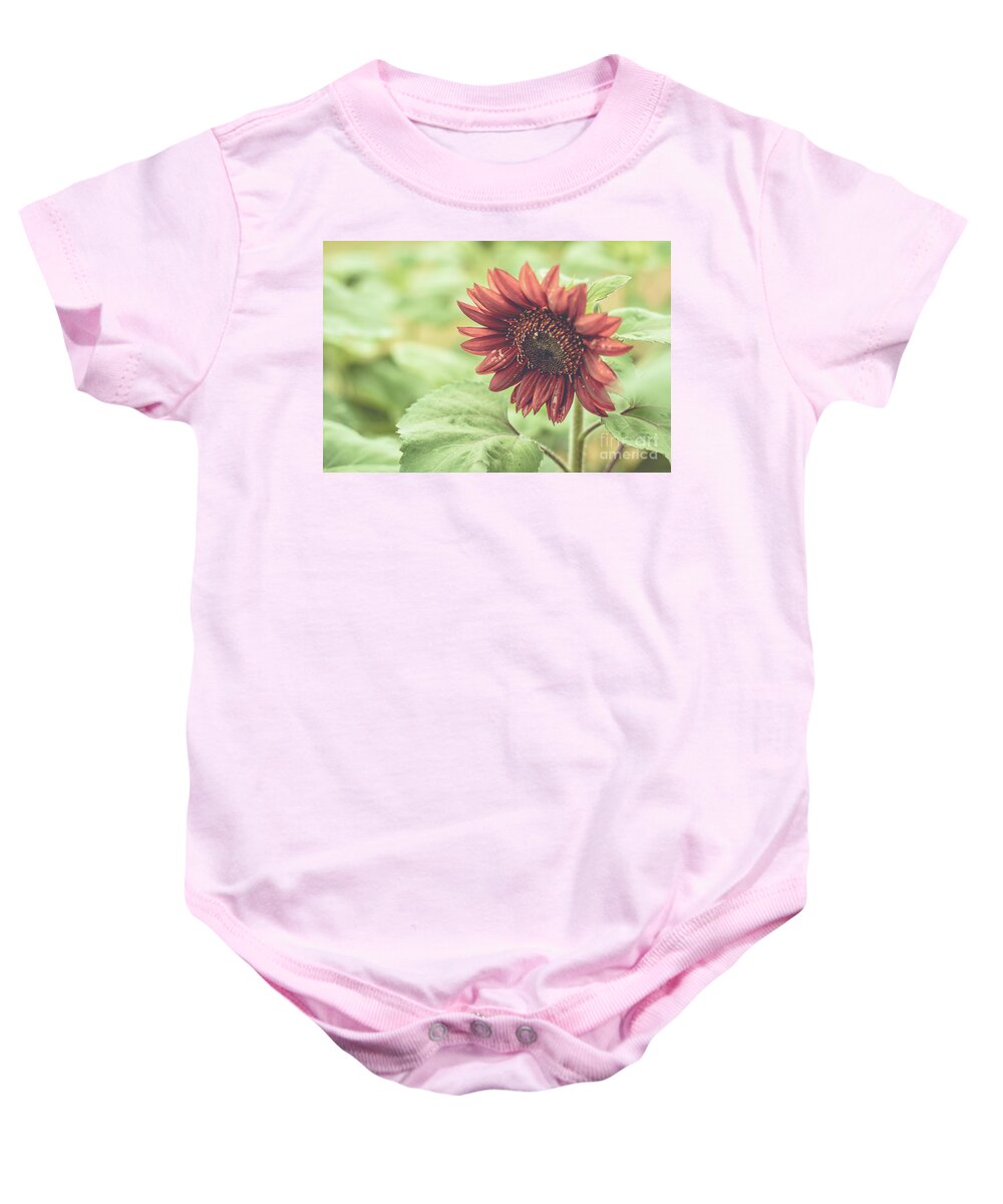 Cheryl Baxter Photography Baby Onesie featuring the photograph Bowing Sunflower by Cheryl Baxter