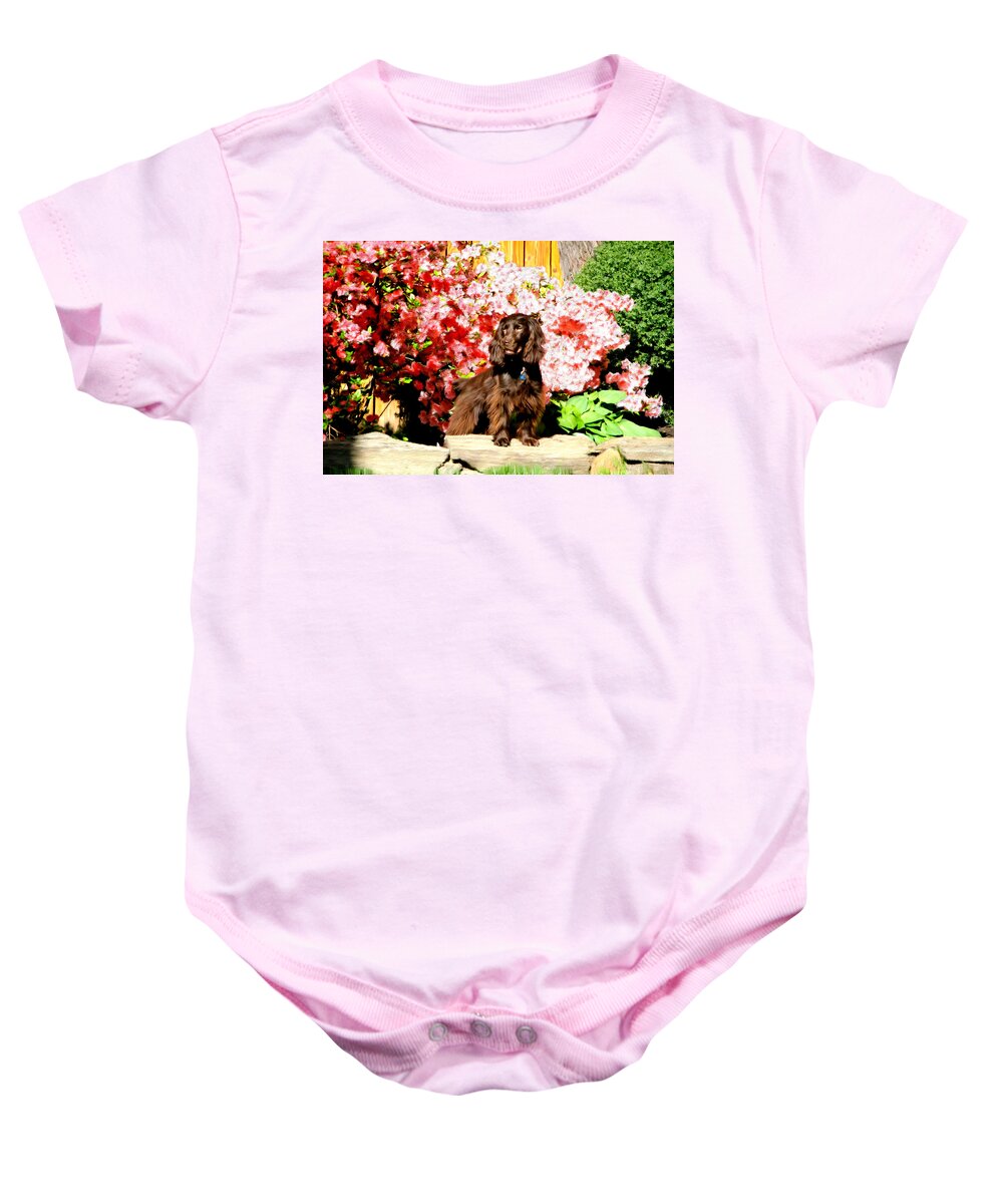 Bruce Baby Onesie featuring the painting Boykin Spaniel in the Azaleas by Bruce Nutting