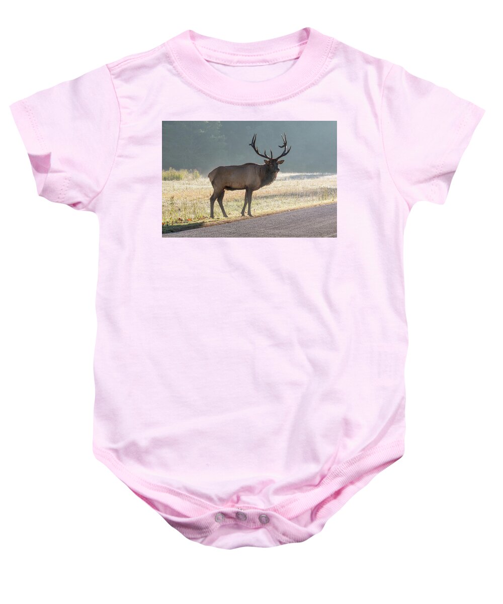 Bull Baby Onesie featuring the photograph Bull Elk Watching by D K Wall