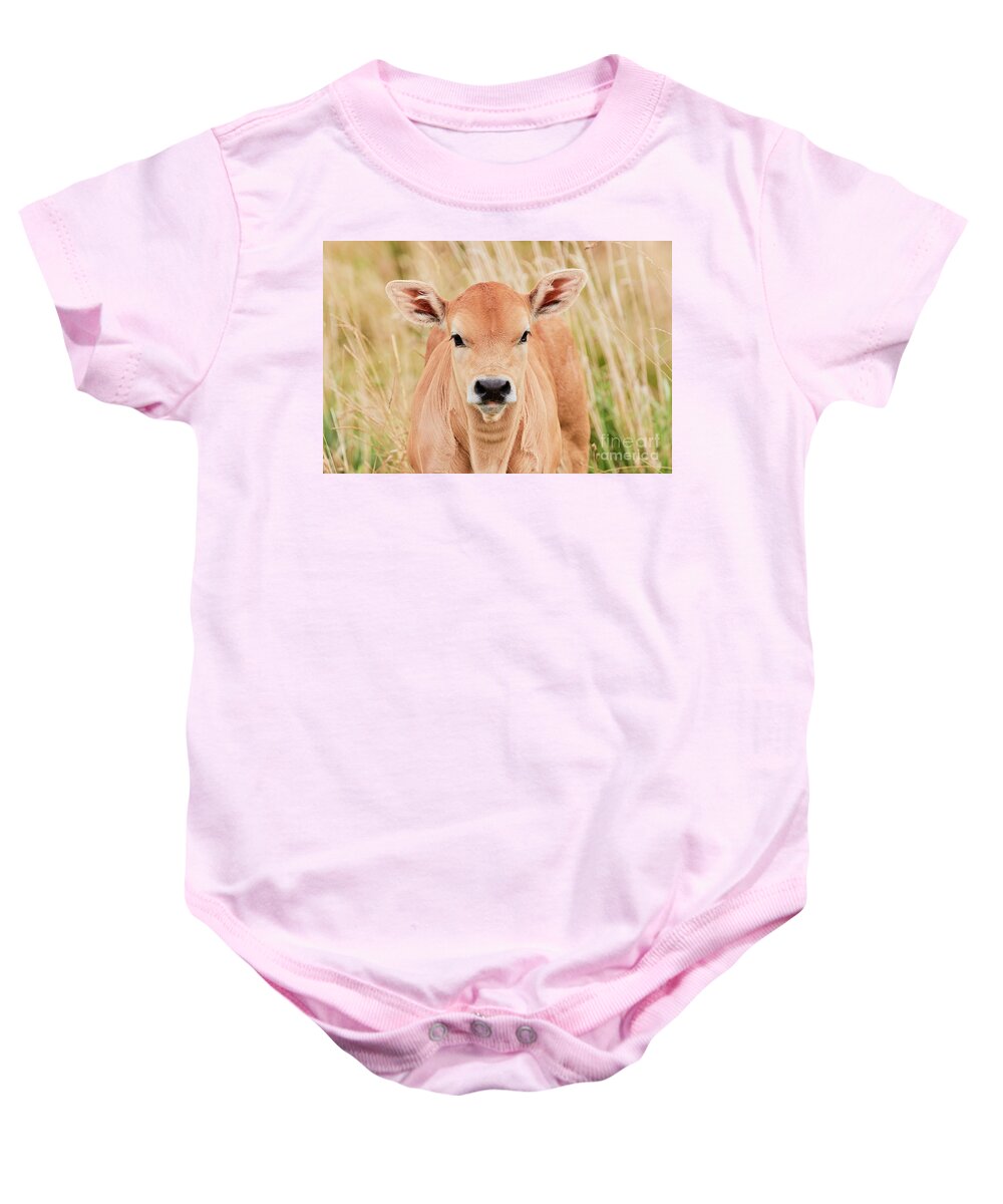 Calf Baby Onesie featuring the photograph Calf in the high grass by Nick Biemans