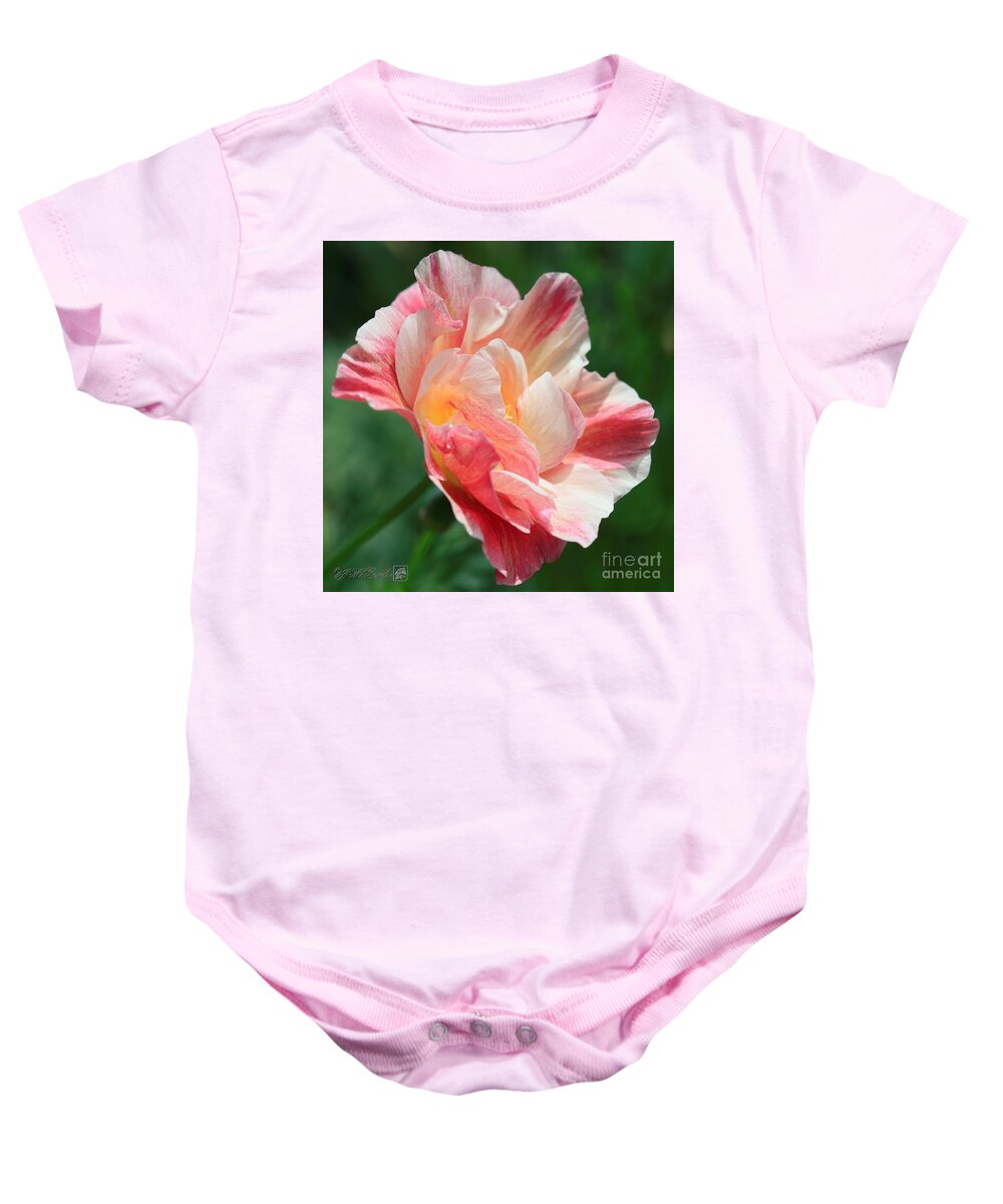 Mccombie Baby Onesie featuring the photograph California Poppy named Rosa Romantica by J McCombie