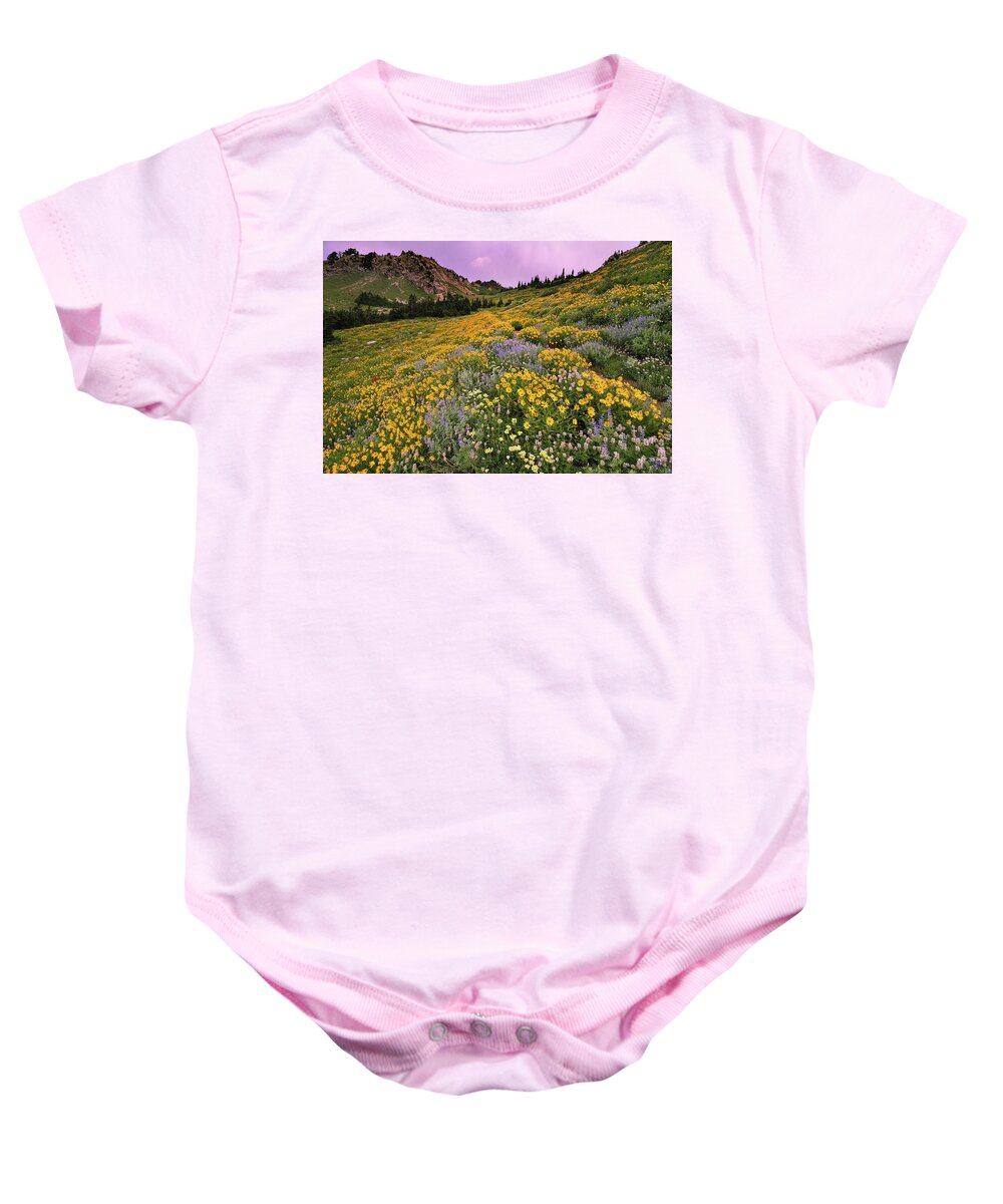 Utah Baby Onesie featuring the photograph Cardiff Pass Sunset and Wildflowers - Alta, Utah by Brett Pelletier
