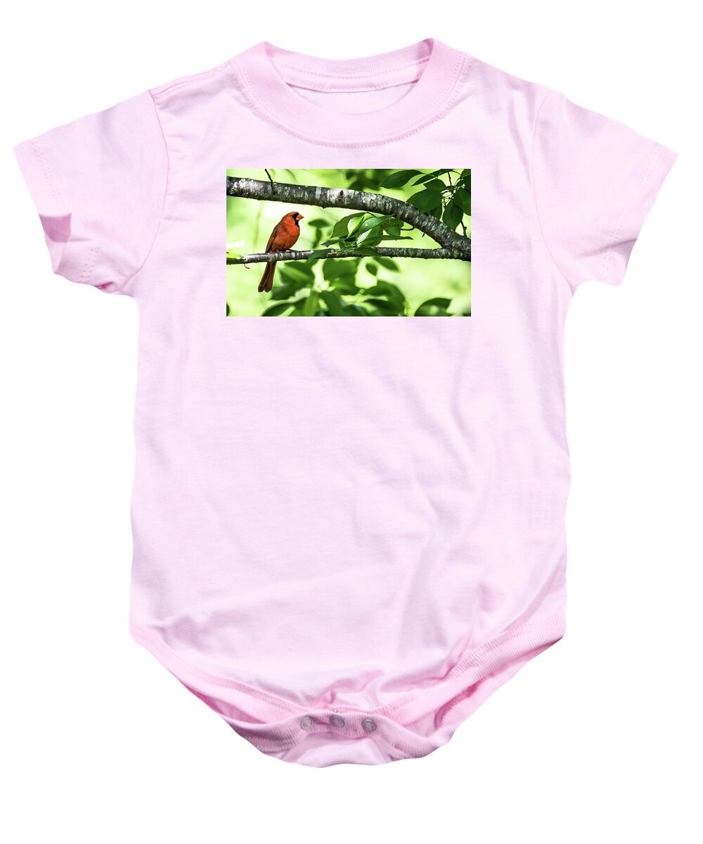 Police Bird Baby Onesie featuring the digital art Cardinal in the trees. by Ed Stines