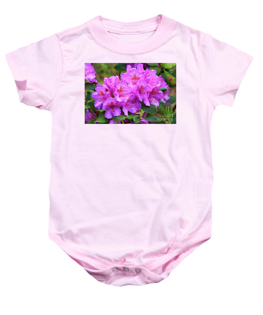 Rhododendrons Baby Onesie featuring the photograph Catawba Rhododendron in Bloom by Jill Lang