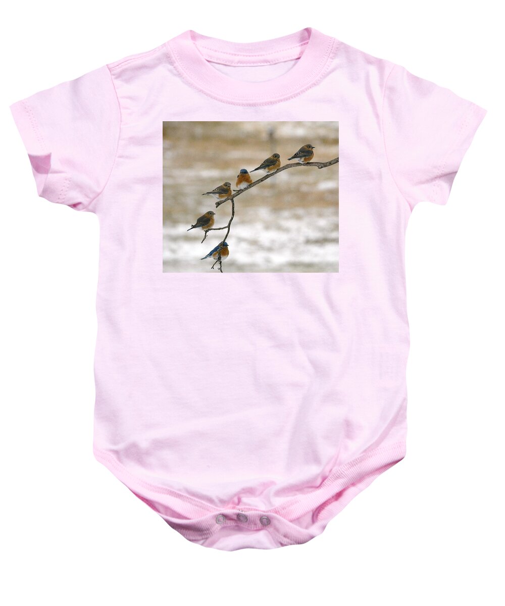 Bluebirds Baby Onesie featuring the photograph Eastern Bluebirds by Judy Genovese