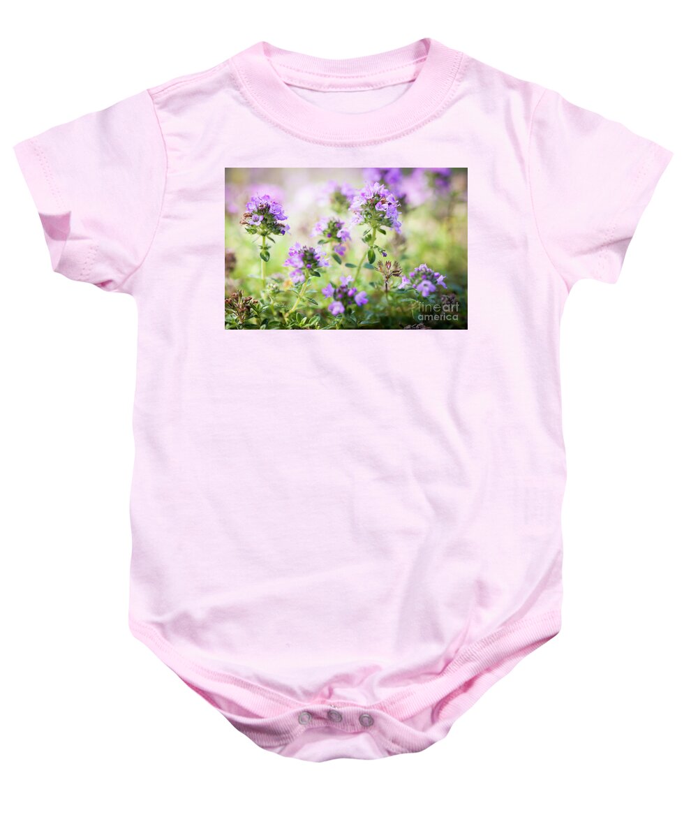 Thyme Baby Onesie featuring the photograph Flowering thyme 2 by Elena Elisseeva