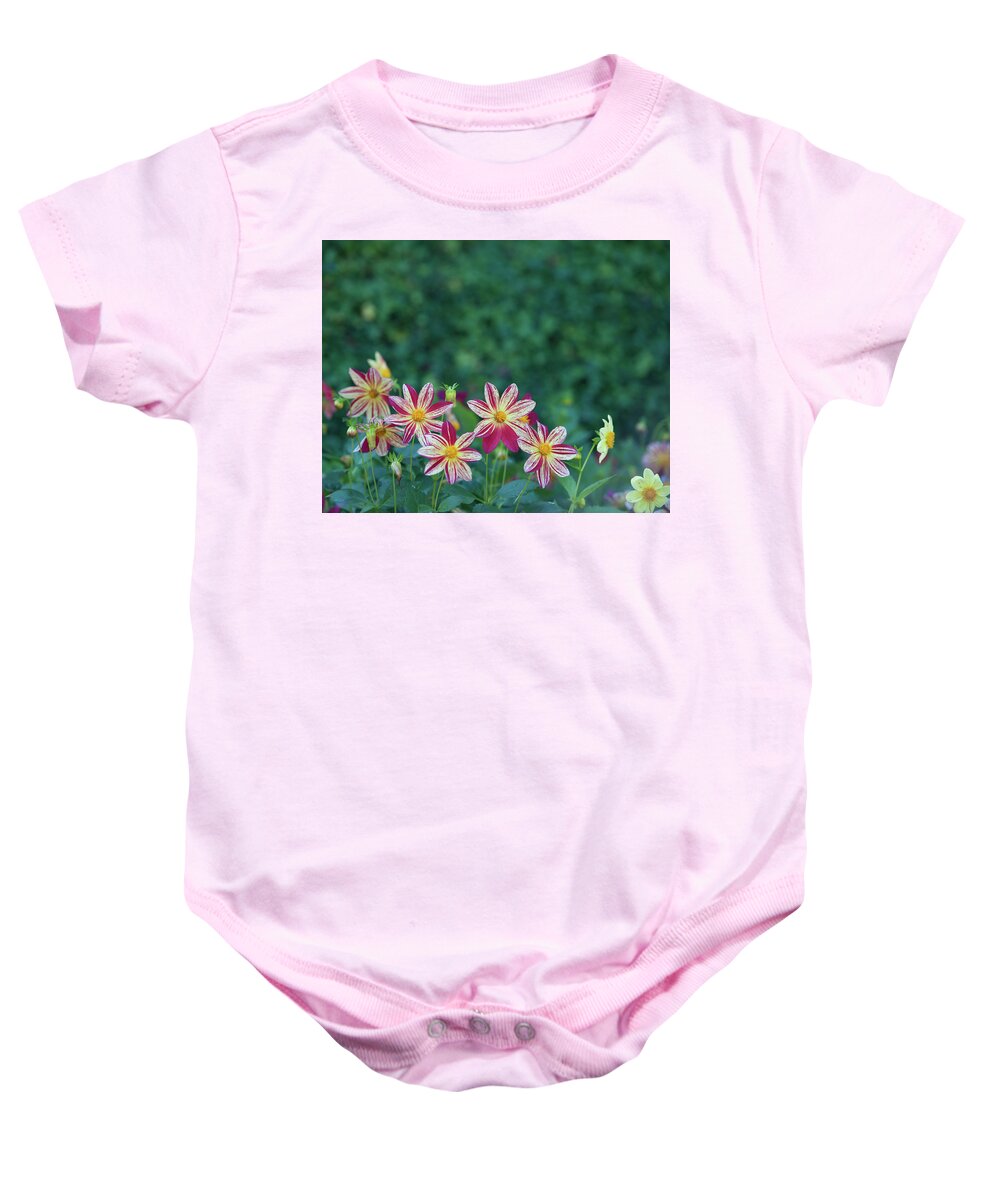Victoria Baby Onesie featuring the photograph Flowers by Shawn Hamilton