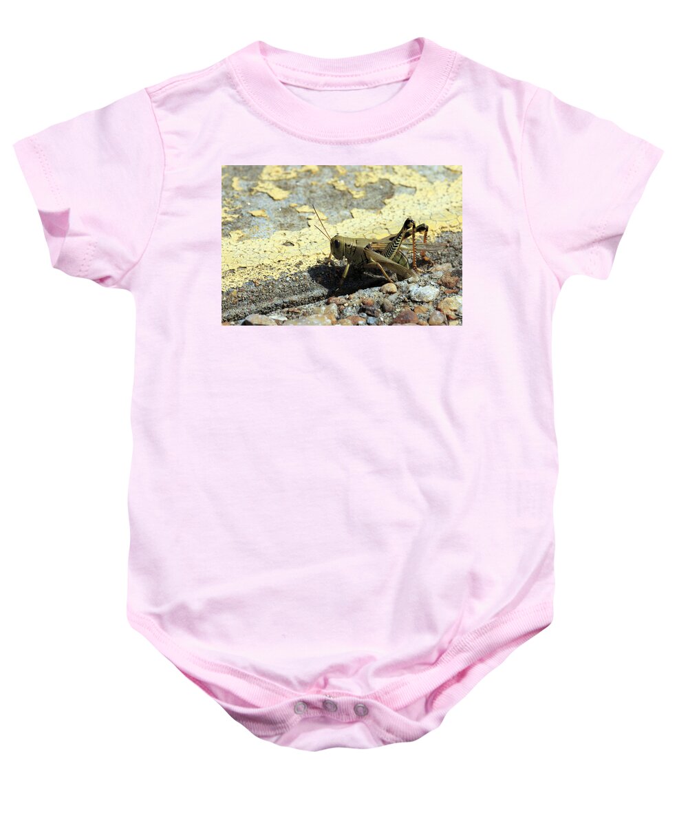 Grasshopper Baby Onesie featuring the photograph Grasshopper Laying Eggs by Travis Rogers