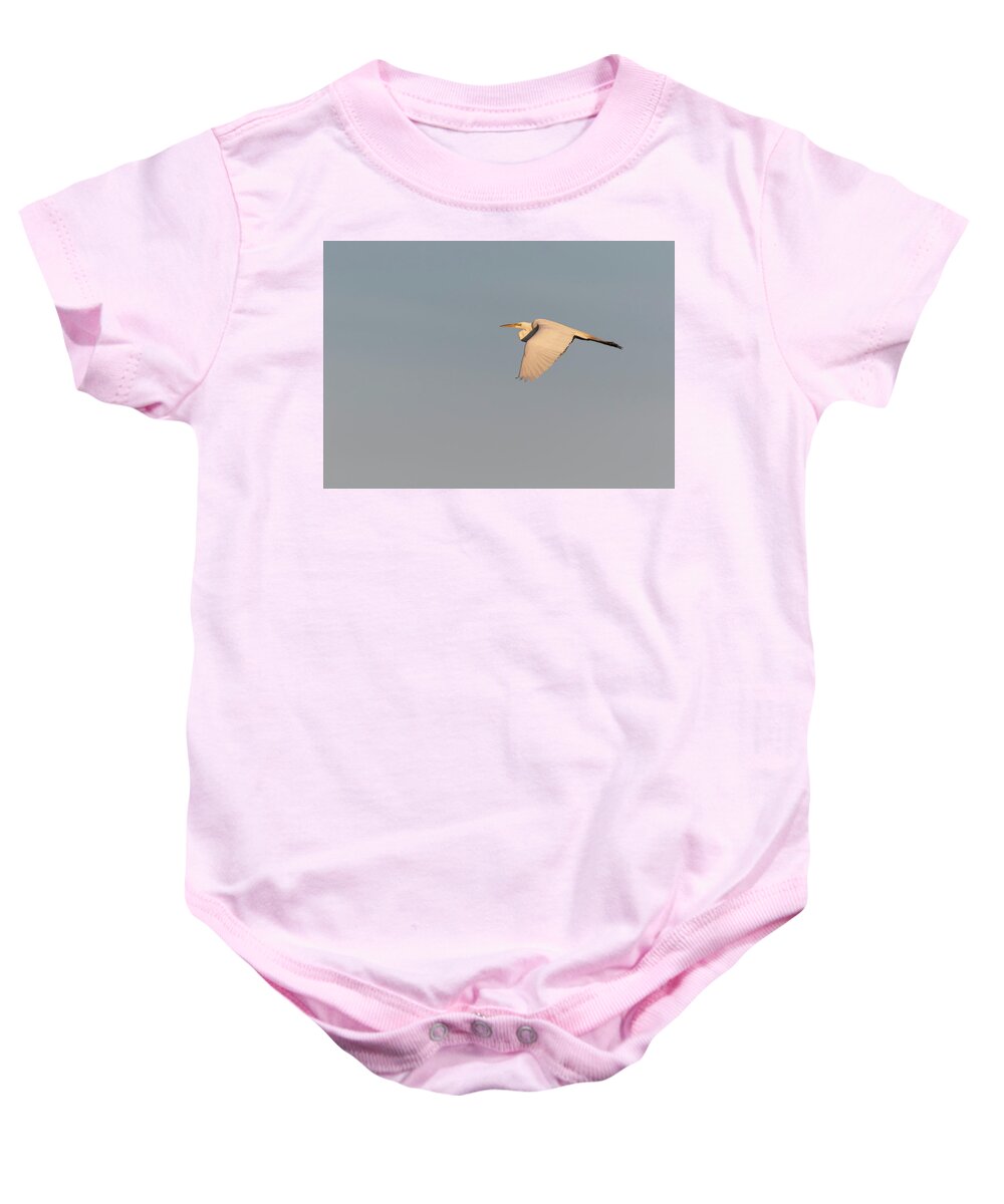 Great Egret Baby Onesie featuring the photograph Great Egret 2017-4 by Thomas Young