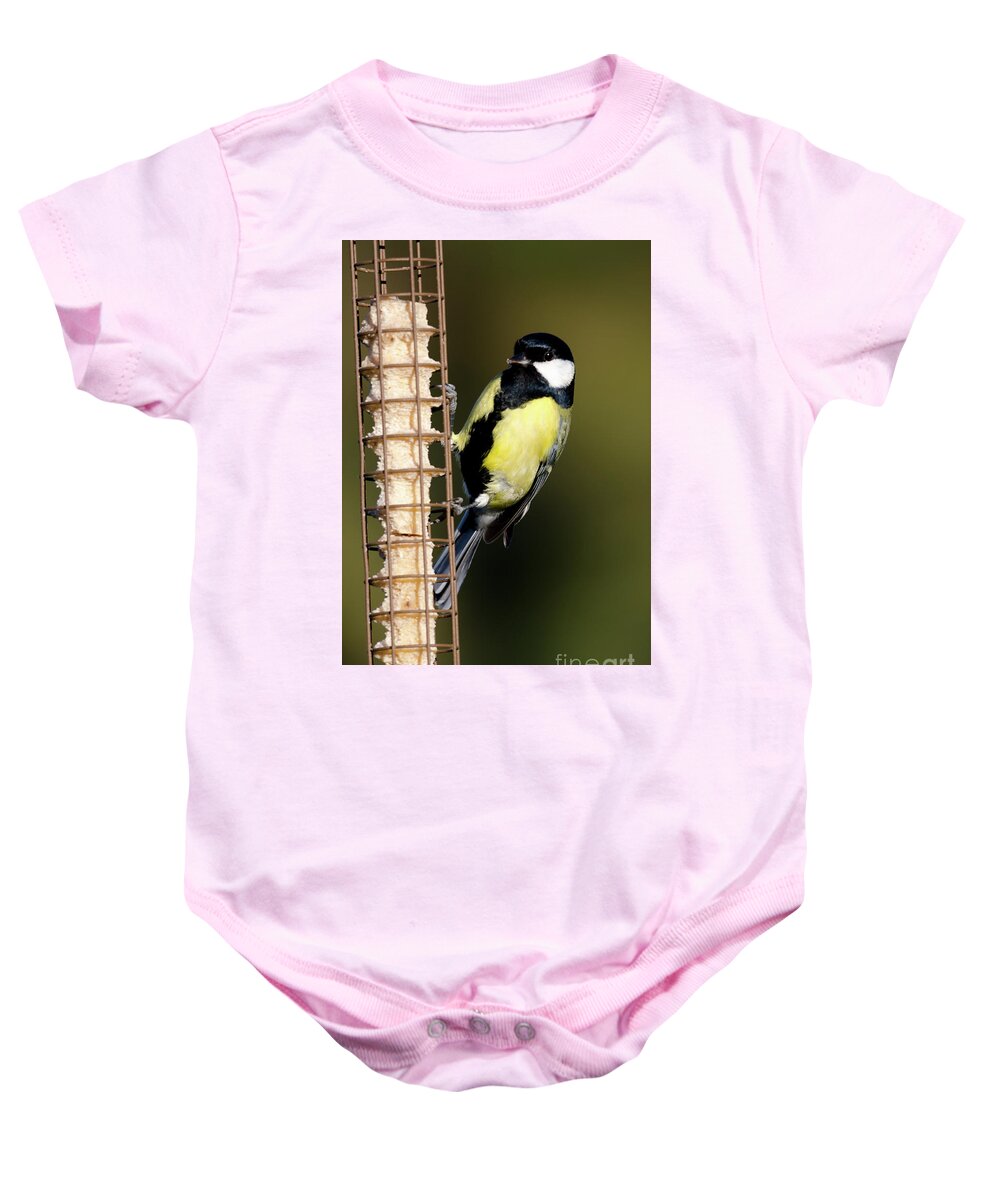Great Tit Baby Onesie featuring the photograph Great tit on feeder by Steev Stamford
