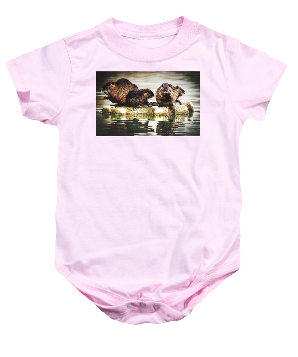 Nutria Baby Onesie featuring the photograph Group Of Nutria by Mountain Dreams