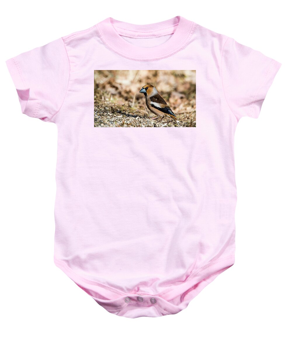 Hawfinch's Gaze Baby Onesie featuring the photograph Hawfinch's gaze by Torbjorn Swenelius