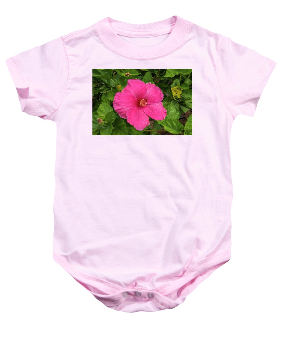 Flowers Baby Onesie featuring the photograph Hibiscus by Jim Thompson