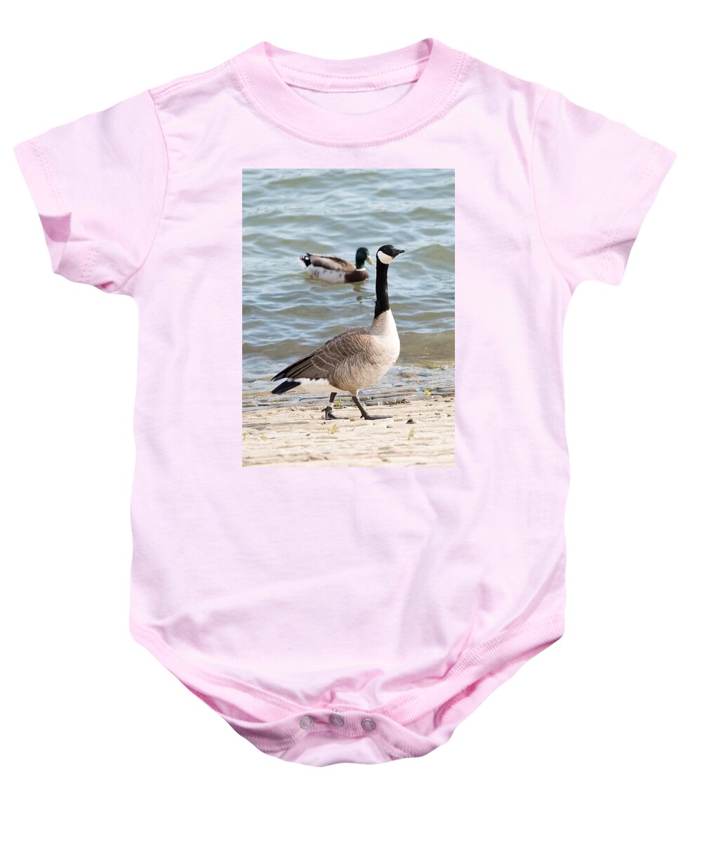 Goose Baby Onesie featuring the photograph High-Class Goose by Holden The Moment