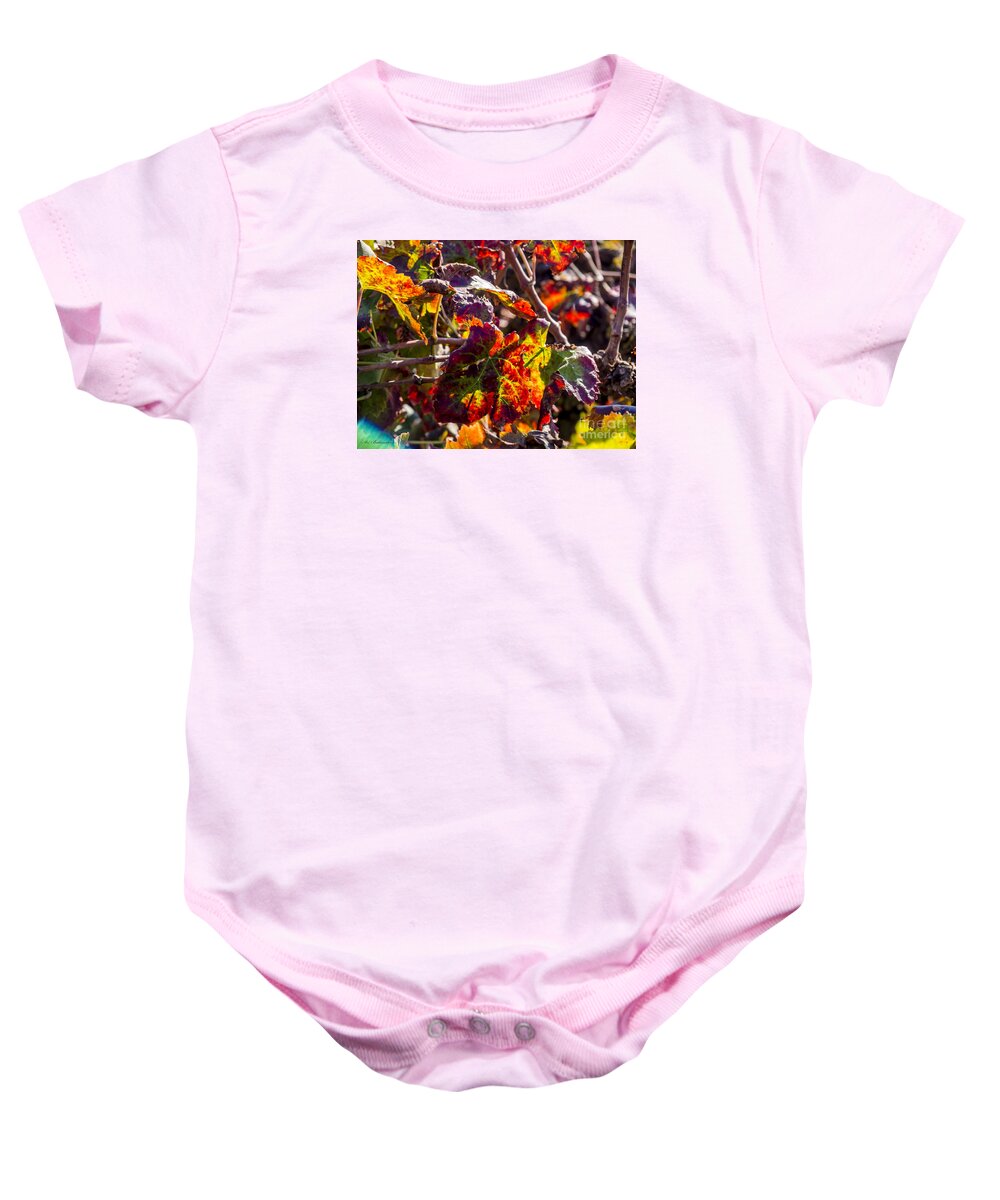 Autumn Baby Onesie featuring the photograph Hot autumn colors in the vineyard 04 by Arik Baltinester