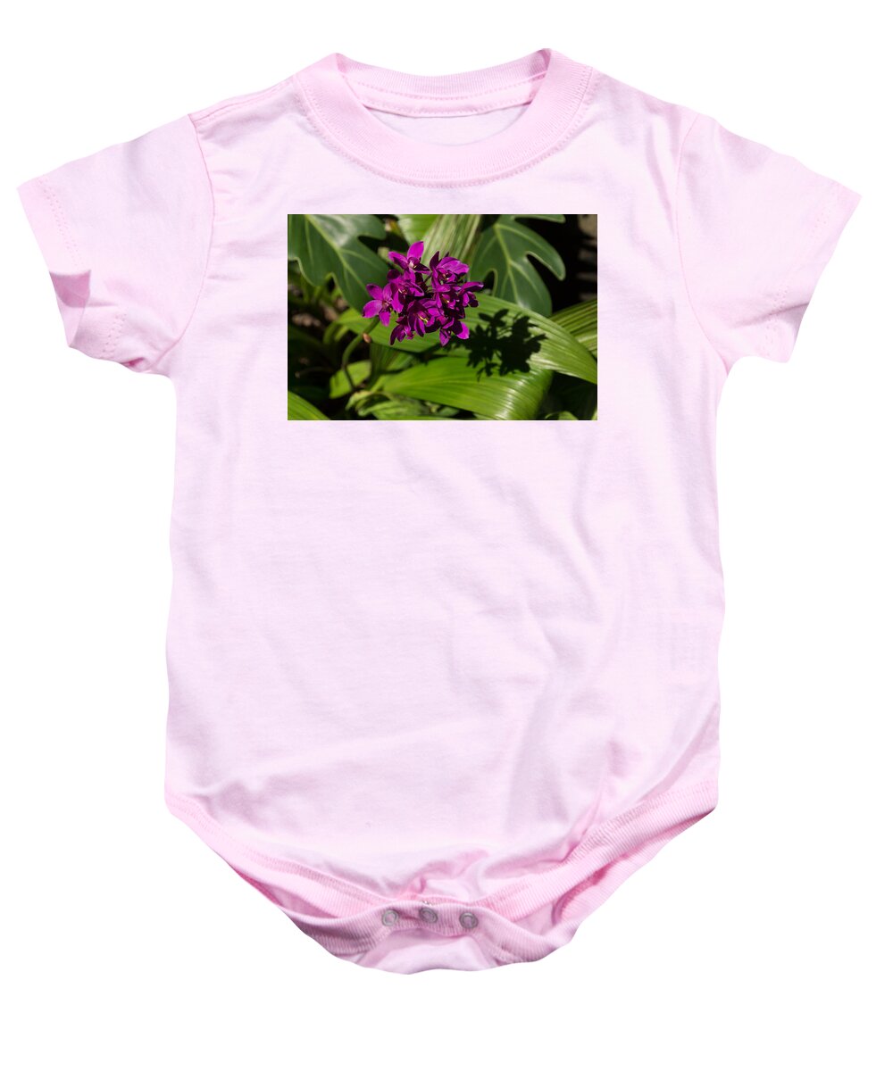 Hot Pink Baby Onesie featuring the photograph Hot Pink Orchids - Exotic Tropical Shadows by Georgia Mizuleva