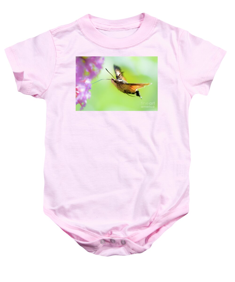 Antenna Baby Onesie featuring the photograph Hummingbird hawk-moth by Amanda Mohler