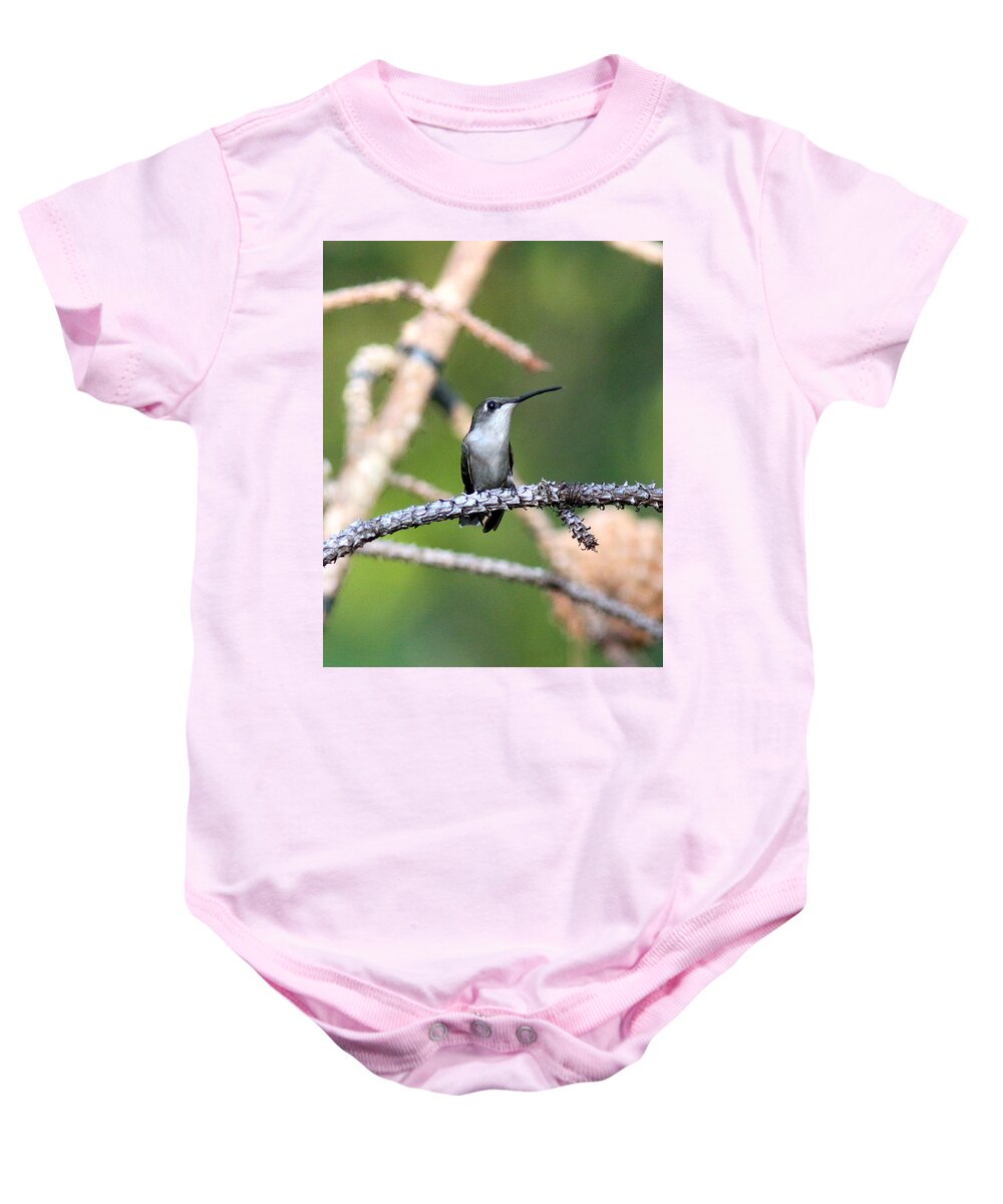Ruby-throated Hummingbird Baby Onesie featuring the photograph IMG_3958 - Ruby-throated Hummingbird by Travis Truelove