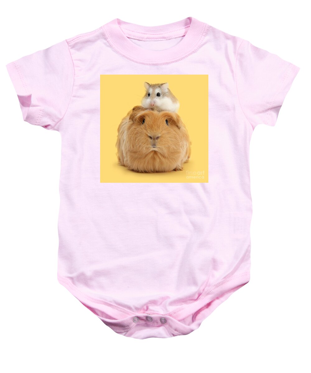 Roborovski Hamster Baby Onesie featuring the photograph It's a Guinea wig by Warren Photographic